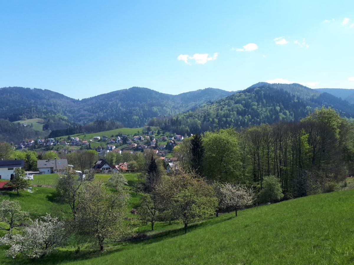 Ferienwohnung Schwarzwaldblick Bühlertal Exterior foto